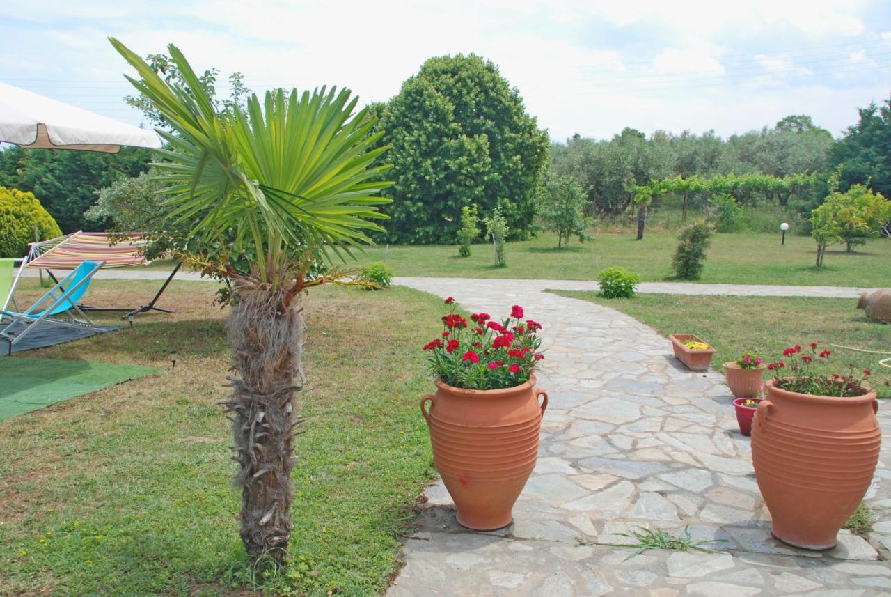 Casa Consta Olympus Villa Litóchoron Eksteriør billede