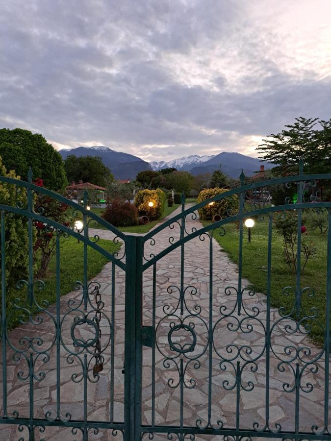 Casa Consta Olympus Villa Litóchoron Eksteriør billede