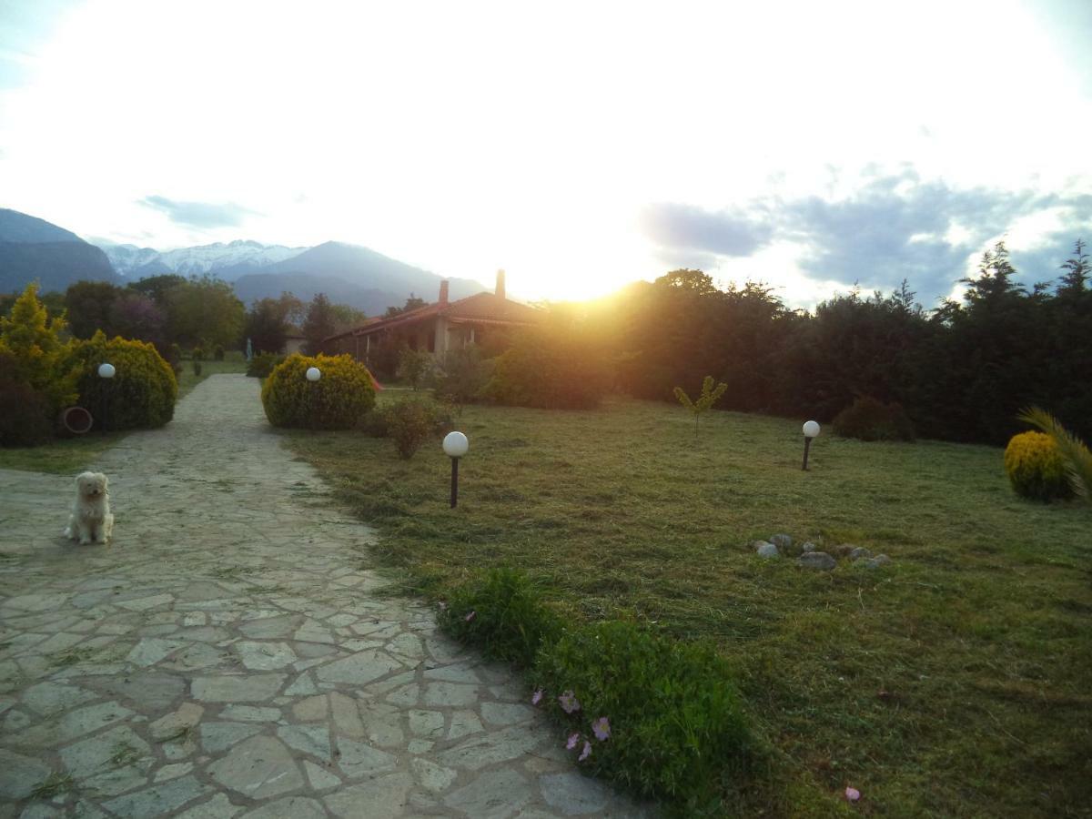 Casa Consta Olympus Villa Litóchoron Eksteriør billede
